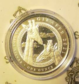 �quatorialguinea 1000 CFA Giraffe 2021 1 oz PL - Bild vergr��ern 