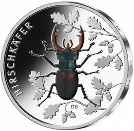 Deutschland 5 Euro Hirschk�fer 2024 (8/9) bfr. - Bild vergr��ern 