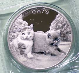 Fidji / Fiji 50 Cent 2024 Katzenserie: Katze 3. Ausgabe - 1 oz BU - Bild vergr��ern 
