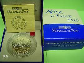 Frankreich 1/4 Euro 2002 - Fussball-WM Japan-Korea - - Bild vergr��ern 