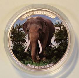 Kambodscha 3000 Riels Big Five: Elefant 2023 stgl. farbig coloriert - Bild vergr��ern 