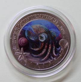 �sterreich 3 � Meereswelten-Serie: Zwergtintenfisch 2024 (8) - Bild vergr��ern 