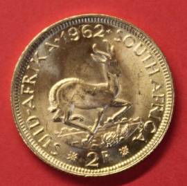 S�dafrika 2 Rand Springbock Gold 7,32 g div. Jahrg�nge  (versandkostenfrei!) - Bild vergr��ern 