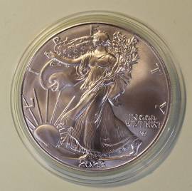 USA Silver Eagle 1 $ 2023 bfr.  - Bild vergr��ern 