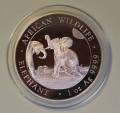 Somalia 100 Shillings Elefantenmotiv 2024 (1 oz)