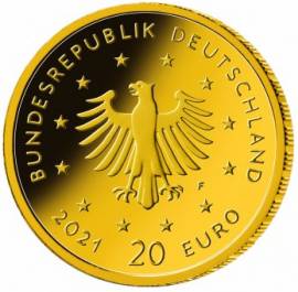Deutschland 20  2021 - Schwarzspecht - A - Bild vergrern 