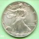 USA Silver Eagle 1 $ 2004