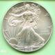 USA Silver Eagle 1 $ 2009