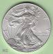 USA Silver Eagle 1 $ 2013