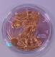 USA Silver Eagle 1 $ 2017 - teilvergoldet - 
