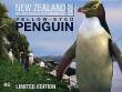 KMS Neuseeland 2011 - Gelbaugenpinguin - stgl.