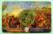 Belgien 2,5 € 2015 -Waterloo - Coincard