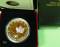 Kanada 5 $ 2013 - 25 Jahre Silber Maple Leaf - PP teilvergoldet