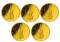 Deutschland 5 x 50 € 2018 - Kontrabass - A,D,F,G,J