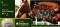 Irland offizieller KMS 2010 - Pferde -