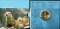 5 € Luxemburg 2011 - Otter -